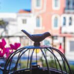 Ca Cammello Venice apartment with terrace canal view